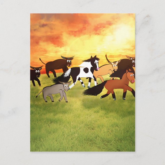 Cartoon Horses running with Bull's Postcard (Front)