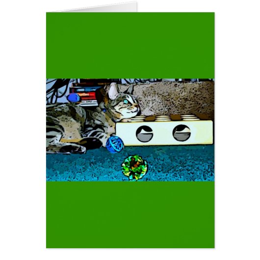 Cartoon Indigo (Front)