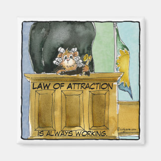 Cartoon Law of Attraction Magnet