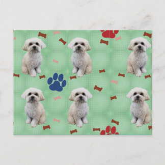 Cartoon Maltese Postcard