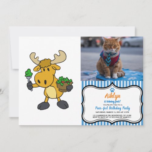 Cartoon moose eating salad  choose back color invitation