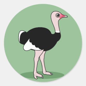 Ostrich Round Sticker
