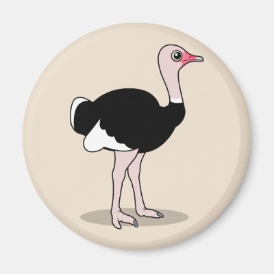 Cartoon Ostrich Magnet