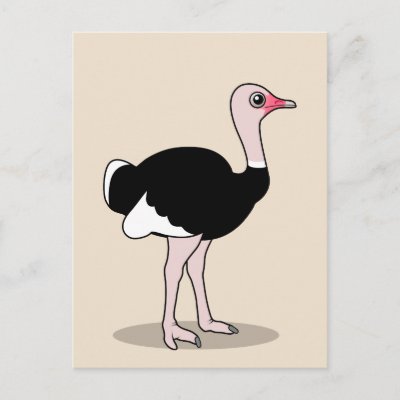 Cartoon Ostrich Postcard