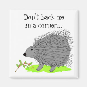 Cartoon Porcupine with Saying Magnet