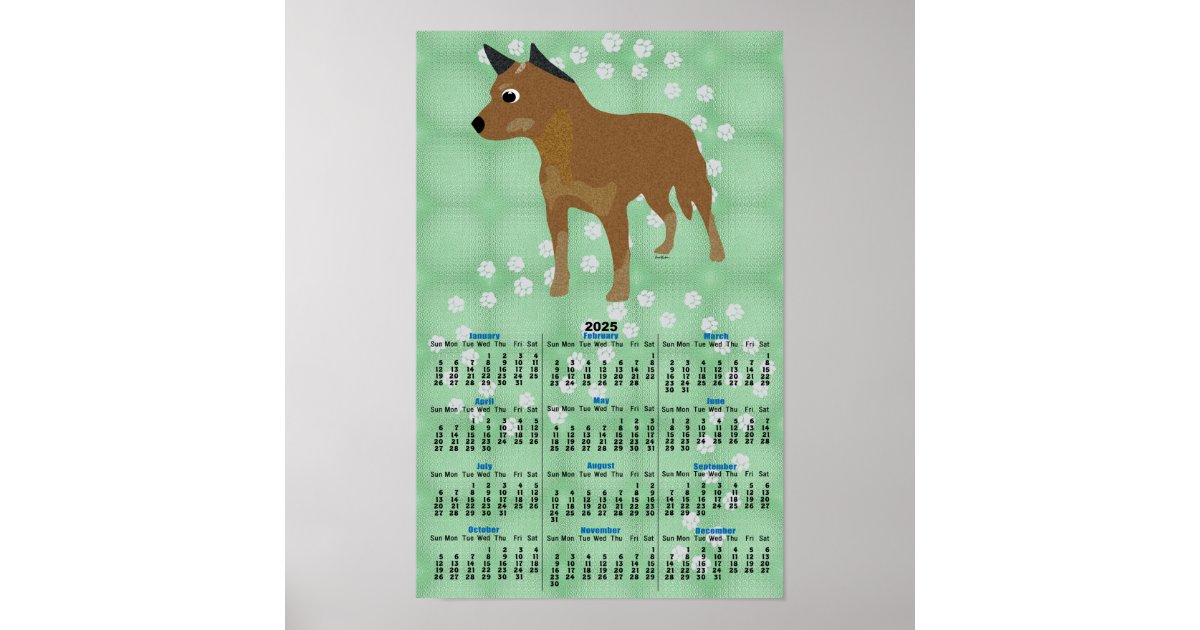 Cartoon Red Heeler 2025 Calendar Poster Zazzle