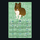 Cartoon Sable Sheltie 2025 Calendar Poster<br><div class="desc">The top part shows a cute cartoon style Shetland Sheepdog sable against a green background with gray paw prints. The bottom part is a 2025Calendar.</div>