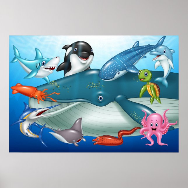 Cartoon sea animals Poster (Front)