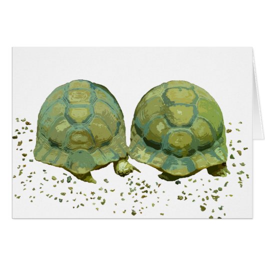 Cartoon Turtles Card (Front Horizontal)