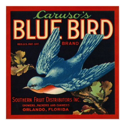 Carusos Blue Bird Fruit packing label Photo Print