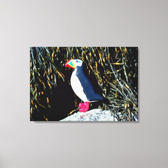 carved atlantic puffin wrapped canvas print (Front)
