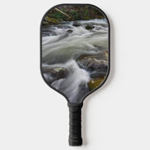 Carving a Path Pickleball Paddle