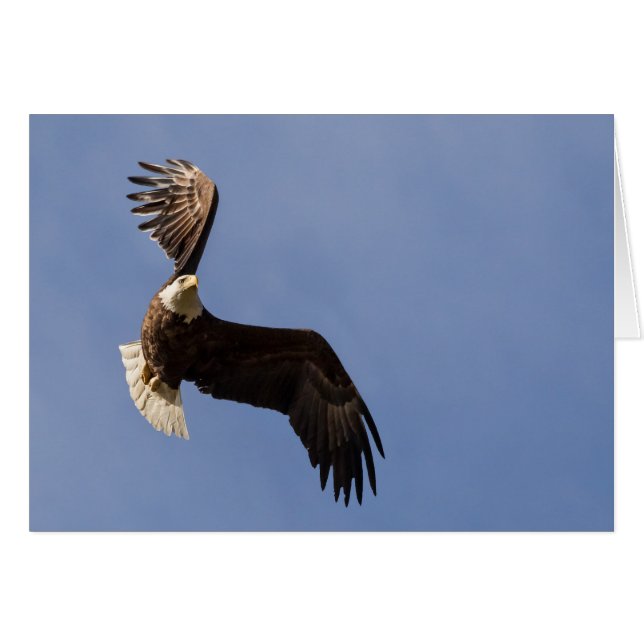 Carving The Sky (Front Horizontal)