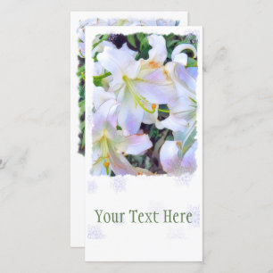 Casablanca [Lily] Announcement