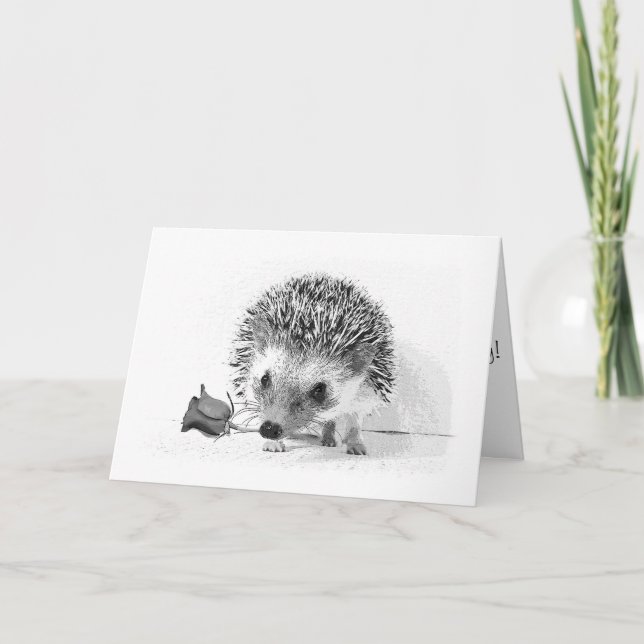 Casanova hedgehog holding rose in mouth card (Front)