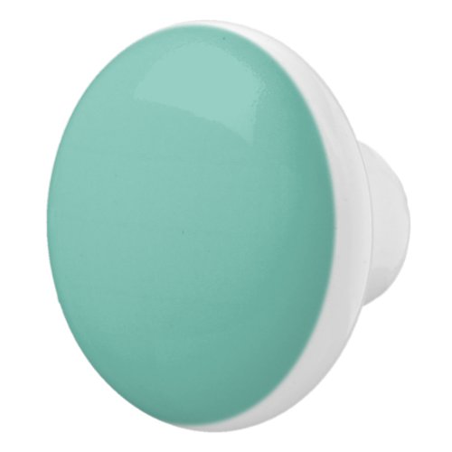 Cascade Aqua Green Solid Color Print Ceramic Knob