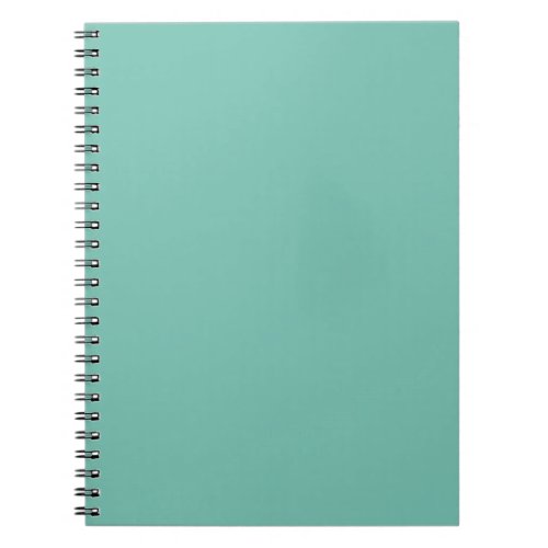 Cascade Aqua Green Solid Color Print Notebook