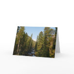 Cascade Creek at Grand Teton Card