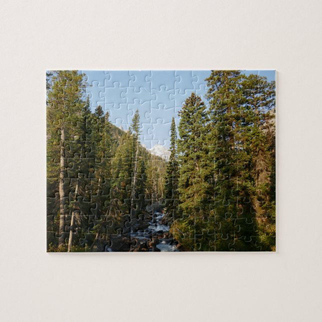 Cascade Creek at Grand Teton Jigsaw Puzzle (Horizontal)