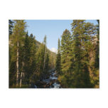Cascade Creek at Grand Teton Postcard