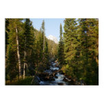 Cascade Creek at Grand Teton Poster