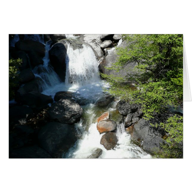 Cascade Falls at Yosemite National Park Cards (Front Horizontal)