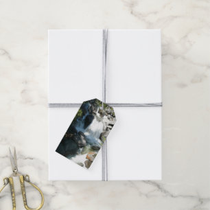 Cascade Falls at Yosemite National Park Gift Tags