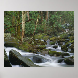 Cascade in Cosby Poster