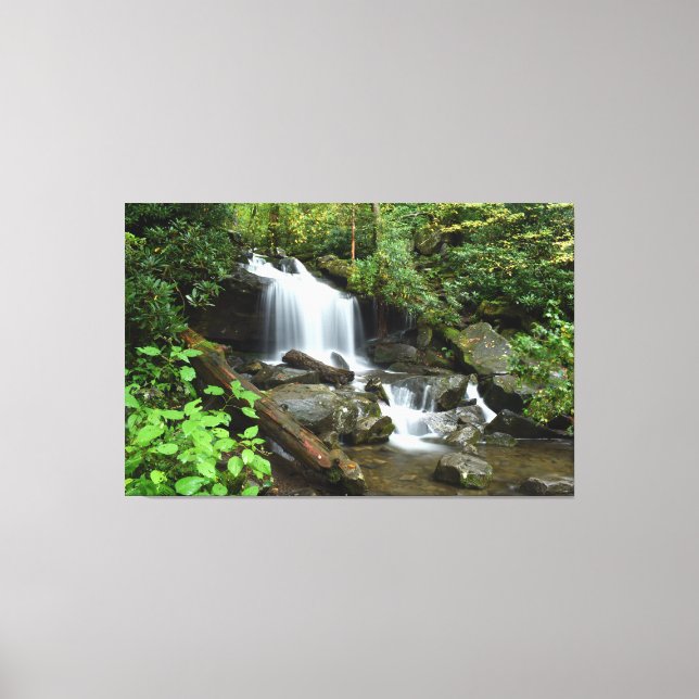 Cascade in Smoky Mountain National Park Canvas Print (Front)
