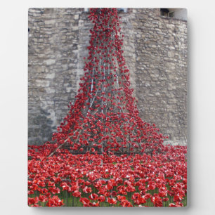 Cascade of Poppies - Tower of London Plaque