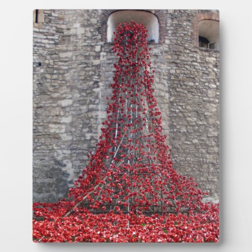 Cascade of Poppies _ Tower of London Plaque
