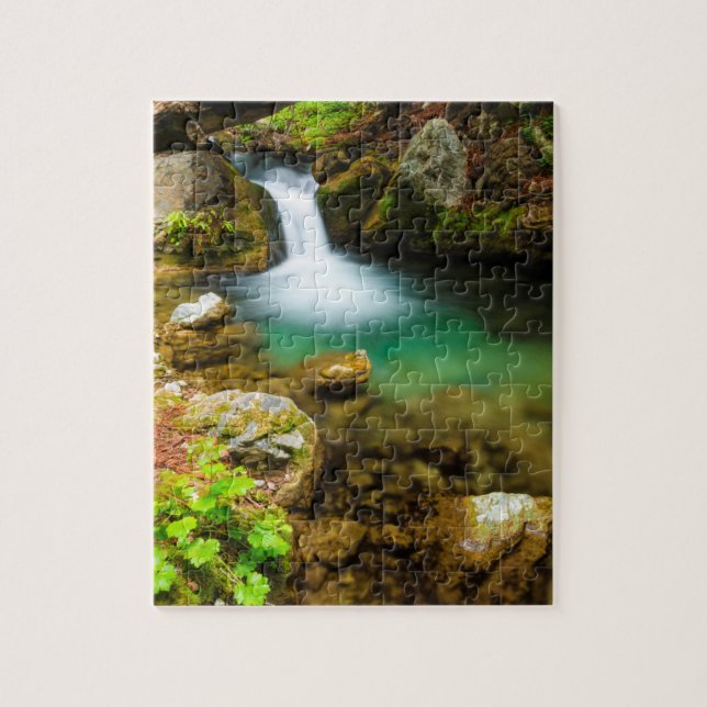 Cascade on Hare Creek, California Jigsaw Puzzle (Vertical)