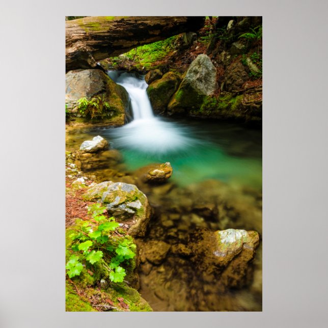 Cascade on Hare Creek, California Poster (Front)