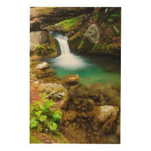 Cascade on Hare Creek, California Wood Wall Art