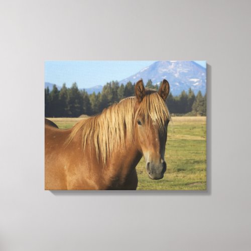 Cascade Range  Chestnut Horse Canvas Print