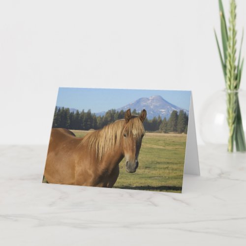 Cascade Range  Chestnut Horse Card