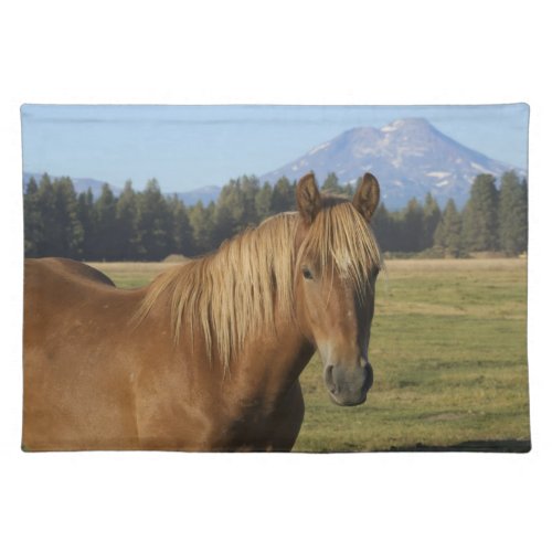 Cascade Range  Chestnut Horse Cloth Placemat