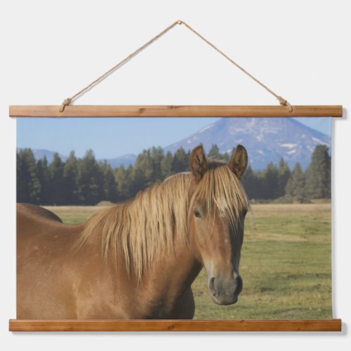 Cascade Range  Chestnut Horse Hanging Tapestry