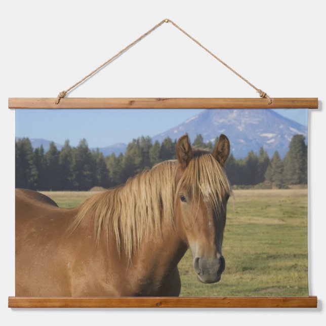 Cascade Range | Chestnut Horse Hanging Tapestry (Front)