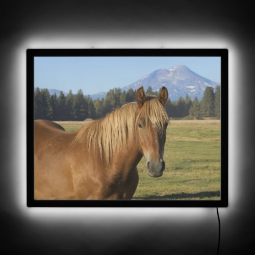 Cascade Range  Chestnut Horse LED Sign