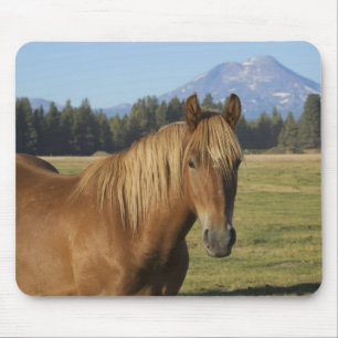 Cascade Range Chestnut Horse Mouse Pad