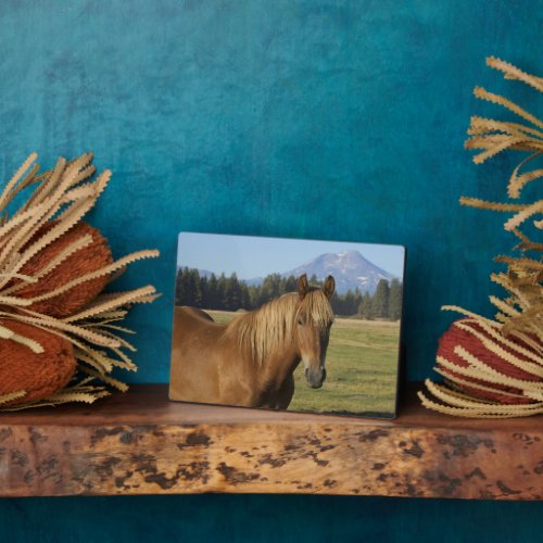 Cascade Range  Chestnut Horse Plaque
