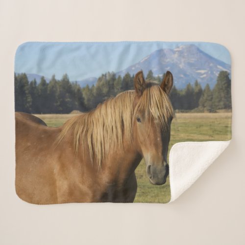 Cascade Range  Chestnut Horse Sherpa Blanket