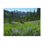 Cascade Range from Mount Rainier National Park Postcard