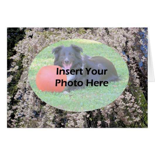 Cascade Spring Of Blossoms Photo Card (Front Horizontal)