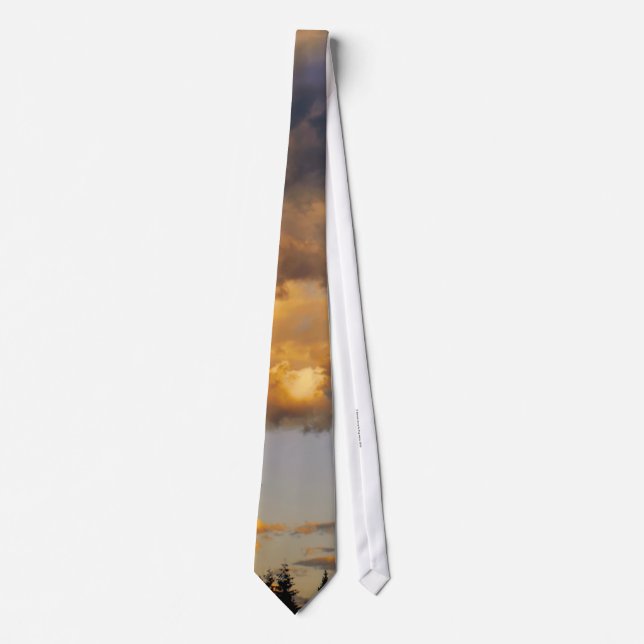 Cascades Rain Clouds Gathering Tie (Front)