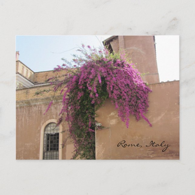 Cascading Flowers on an Old Building Postcard (Front)