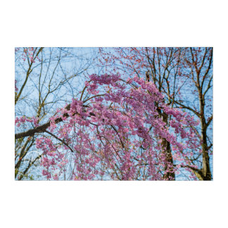 Cascading in pink Acrylic Wall Art