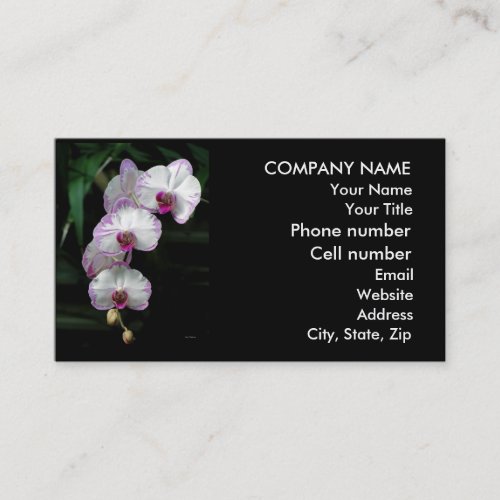 Cascading Orchid Beauties Business Card Templates