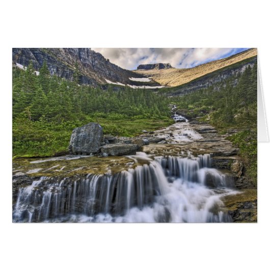 Cascading stream, Glacier National Park, Cards (Front Horizontal)
